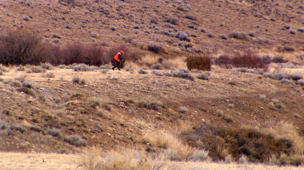 Hunter in blaze orange on public land