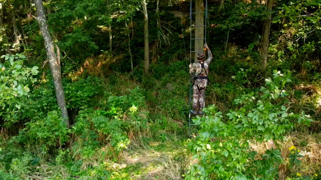 tree stand safety