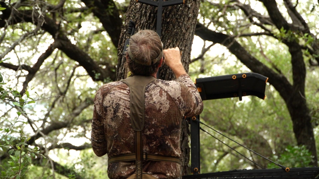 tree stand safety