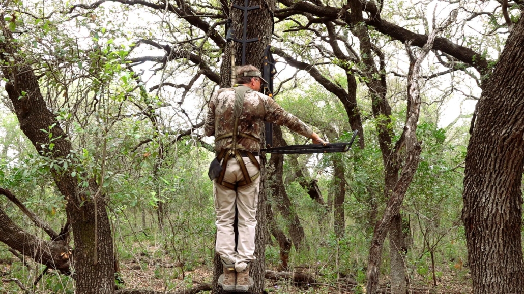 tree stand safety